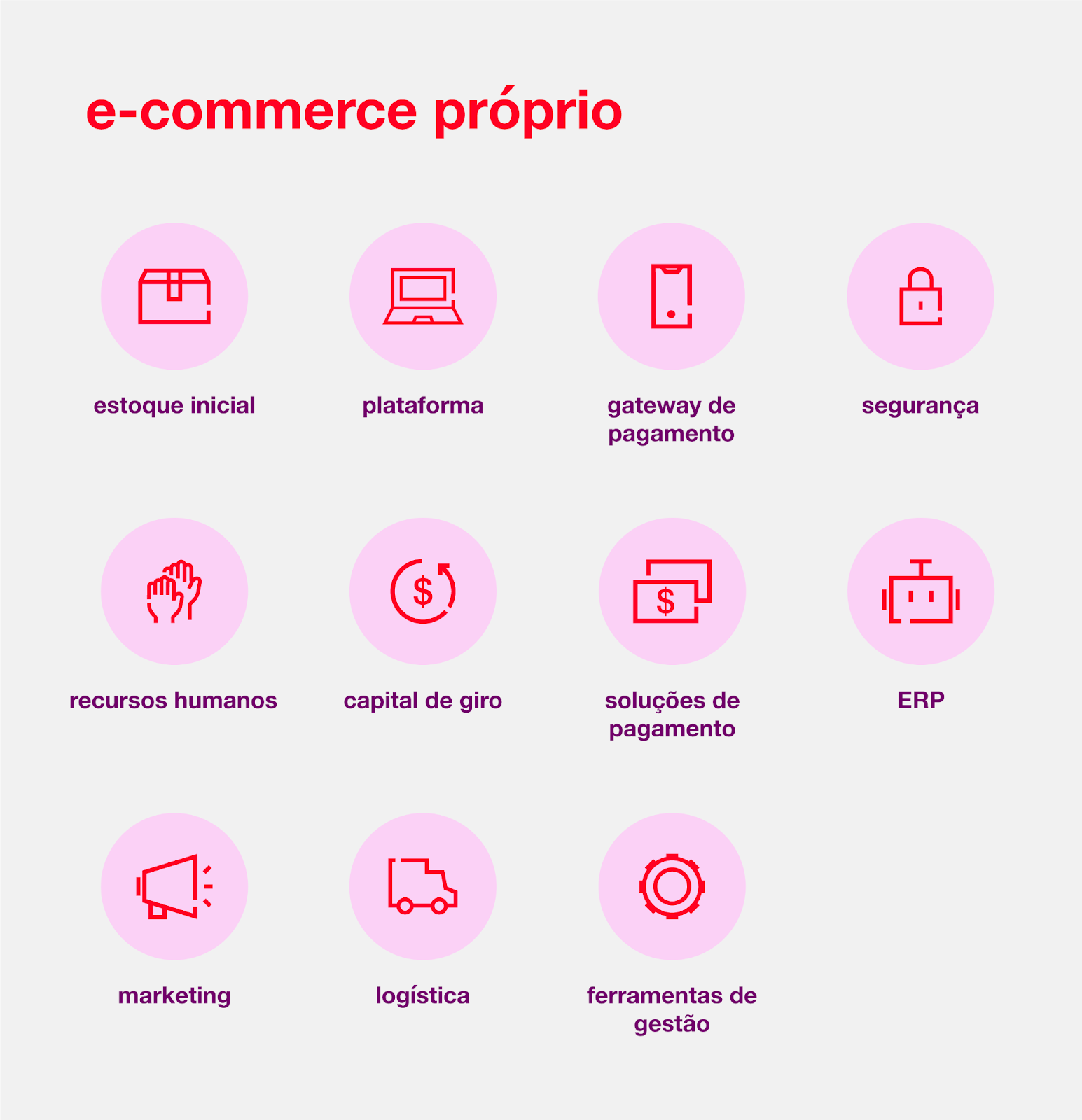 e-commerce próprio
